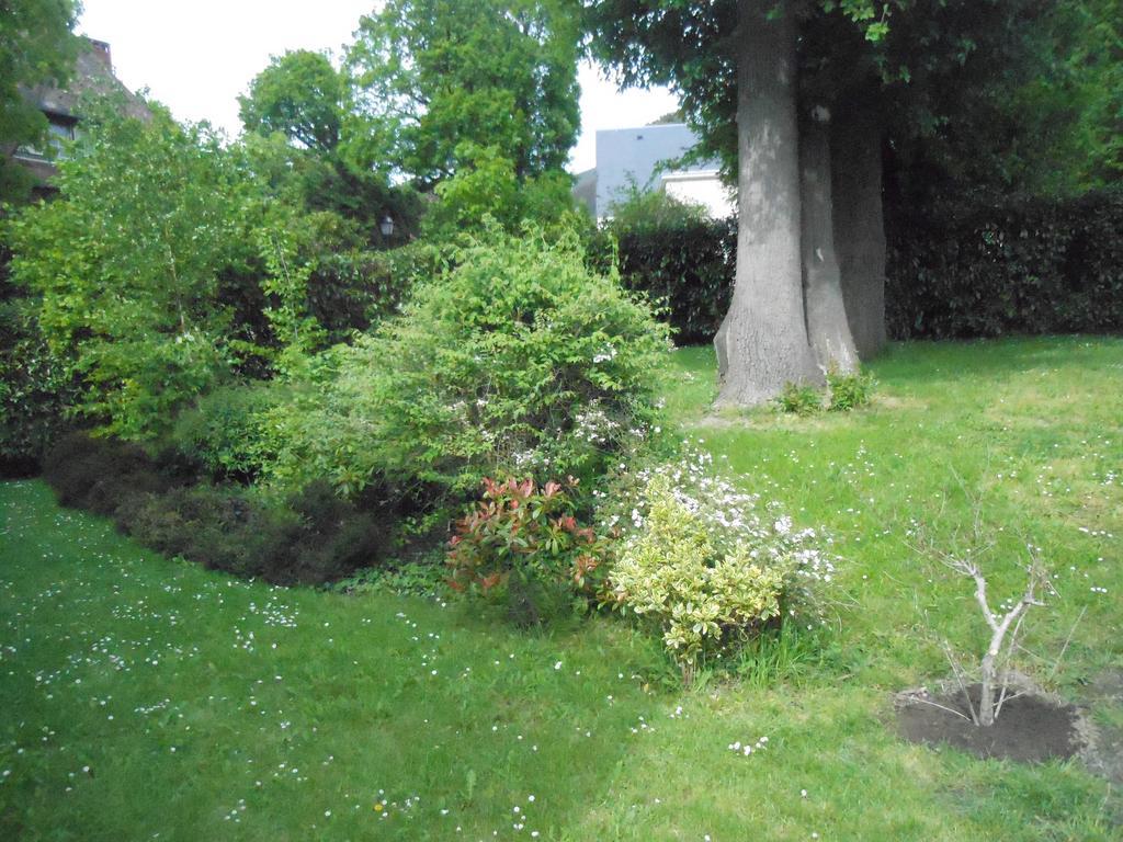 La Clémencerie Chambre d'hôtes L'Etang-la-Ville Exterior foto