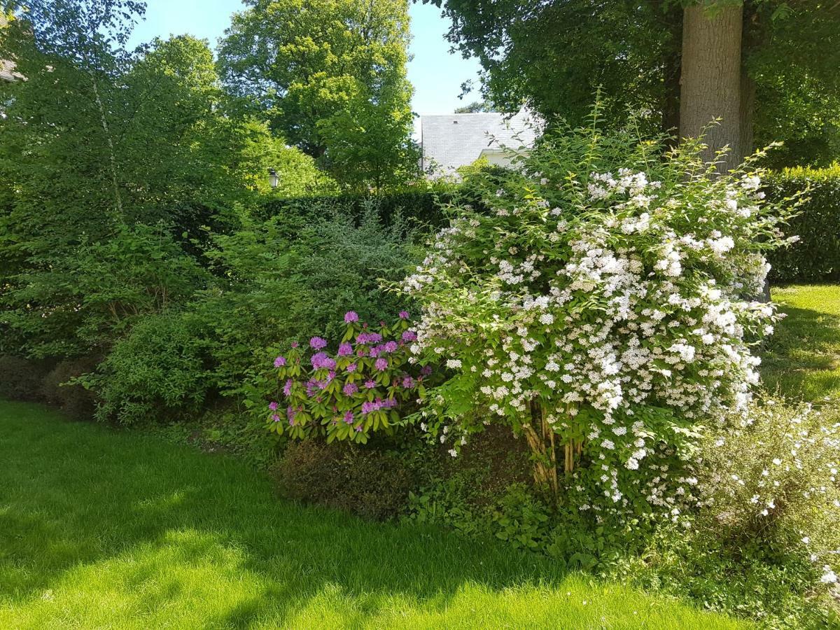 La Clémencerie Chambre d'hôtes L'Etang-la-Ville Exterior foto